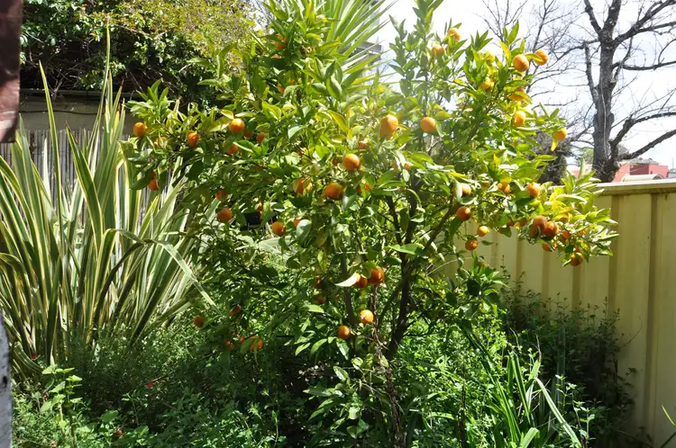 Seventh view of Homely house listing, 41 Capper Street, Tumut NSW 2720