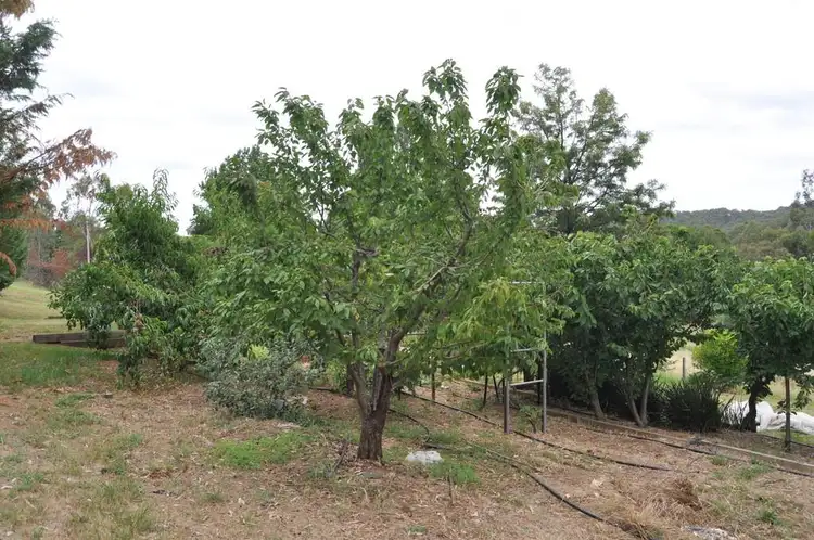 Seventh view of Homely house listing, 229 Wynyard Street, Tumut NSW 2720