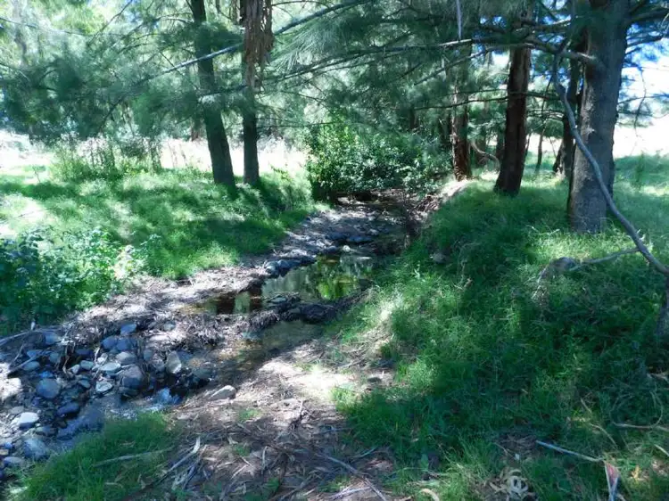Second view of Homely other listing, 181 OAKENVILLE CREEK Road, Nundle NSW 2340