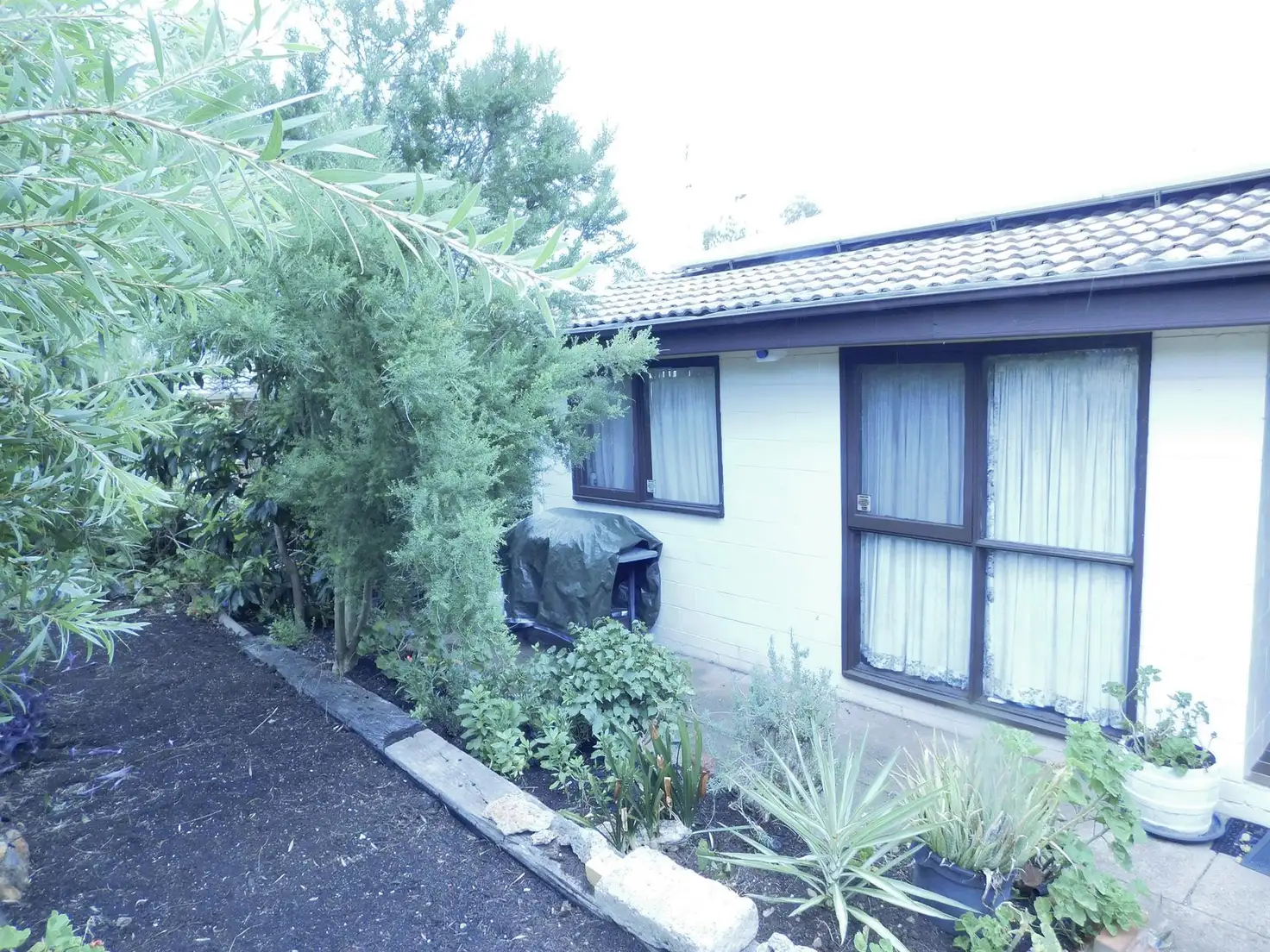 Main view of Homely house listing, 27 Graham Street, Calala NSW 2340
