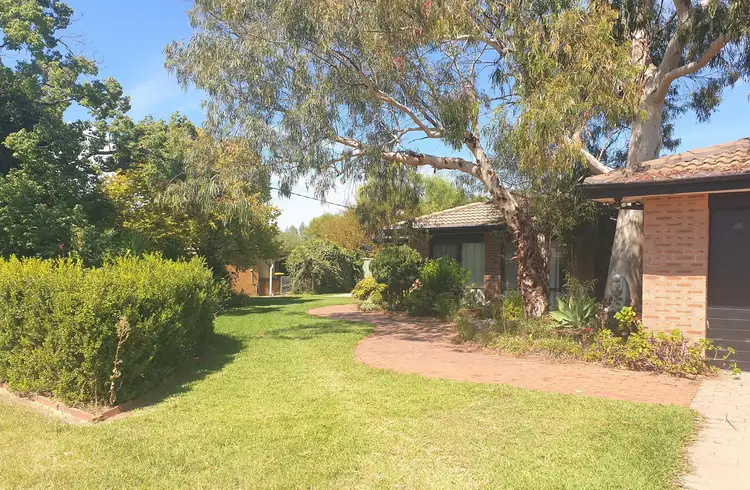 Main view of Homely house listing, 16 Gordon Street, Calala NSW 2340