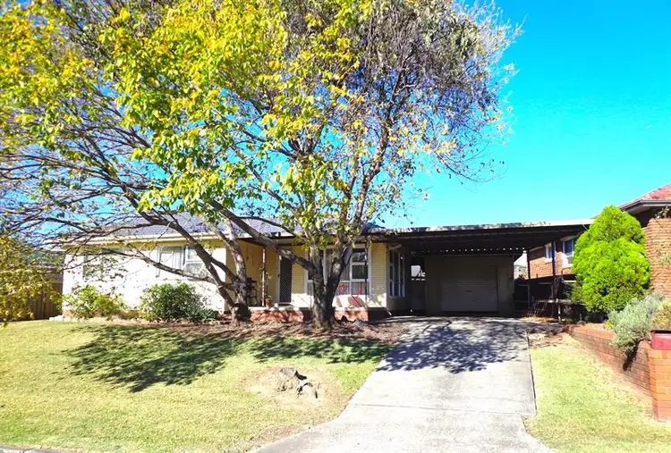 Main view of Homely house listing, 13 Jervis Street, Fairfield NSW 2165