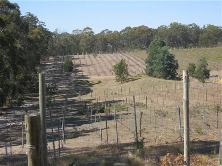 Seventh view of Homely rural property listing, 910 Tugalong Road, Canyonleigh NSW 2577