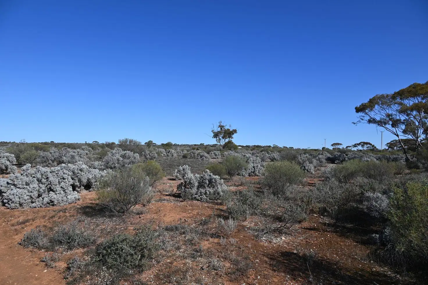 Main view of Homely land listing, Section 34 Rail Road, Morgan SA 5320