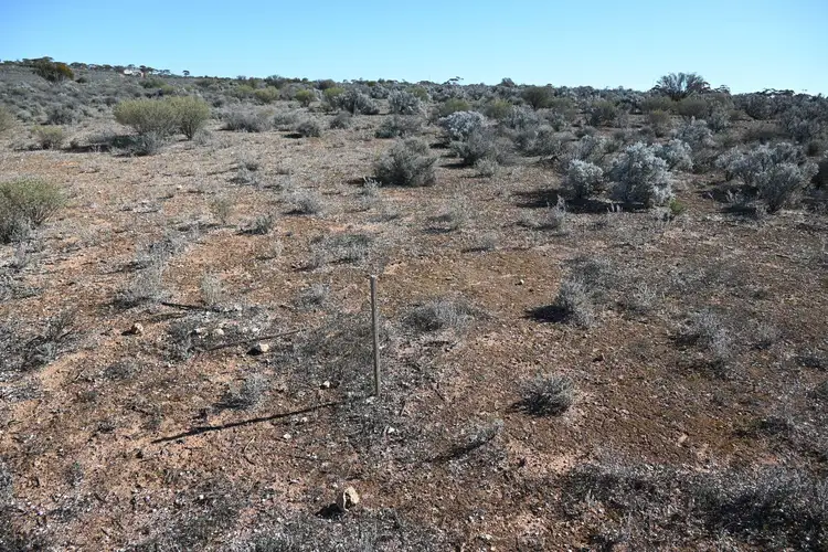 Second view of Homely land listing, Section 34 Rail Road, Morgan SA 5320
