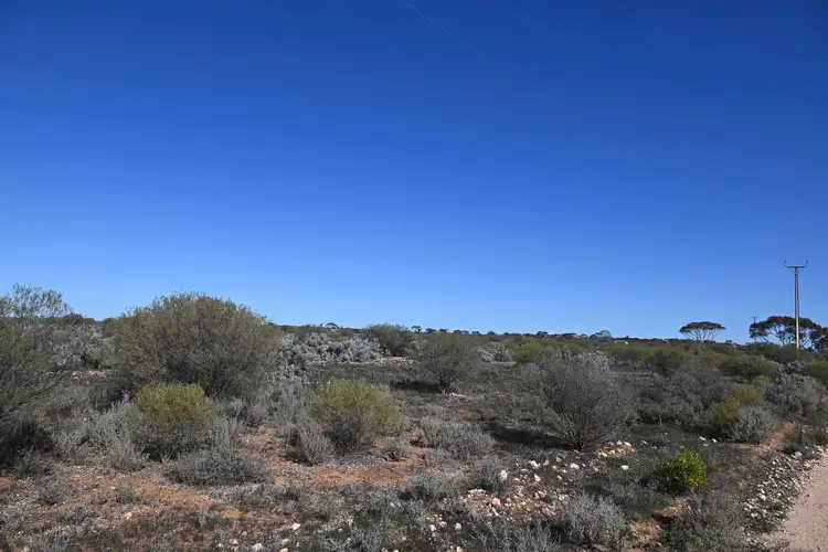 Fifth view of Homely land listing, Section 34 Rail Road, Morgan SA 5320