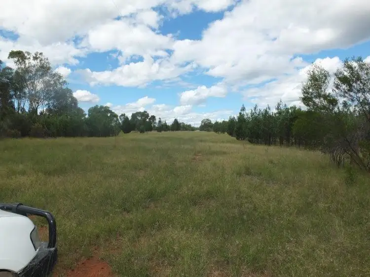 Second view of Homely rural property listing, 1513 Westport Road, Narrabri NSW 2390