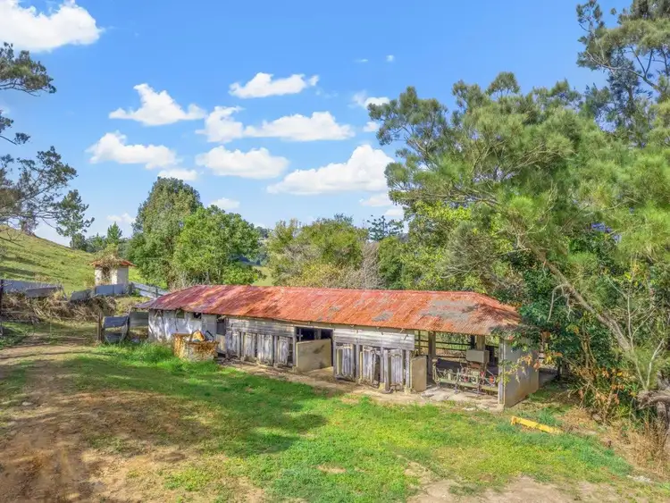 Fourth view of Homely rural property listing, 104 Wooyung Road, Crabbes Creek NSW 2483