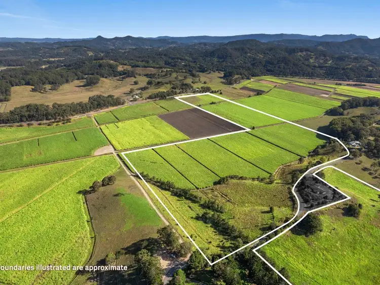 207 Hulls Road, Crabbes Creek NSW 2483