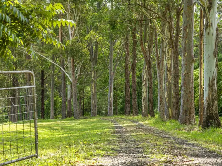 Third view of Homely rural property listing, 80 Lodge Road, Mountain Top NSW 2480