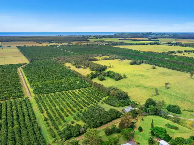 Third view of Homely rural property listing, 142 Martins Lane, Knockrow NSW 2479