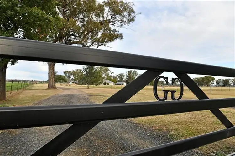 Fourth view of Homely rural property listing, 10737 Kamilaroi Highway, Gunnedah NSW 2380