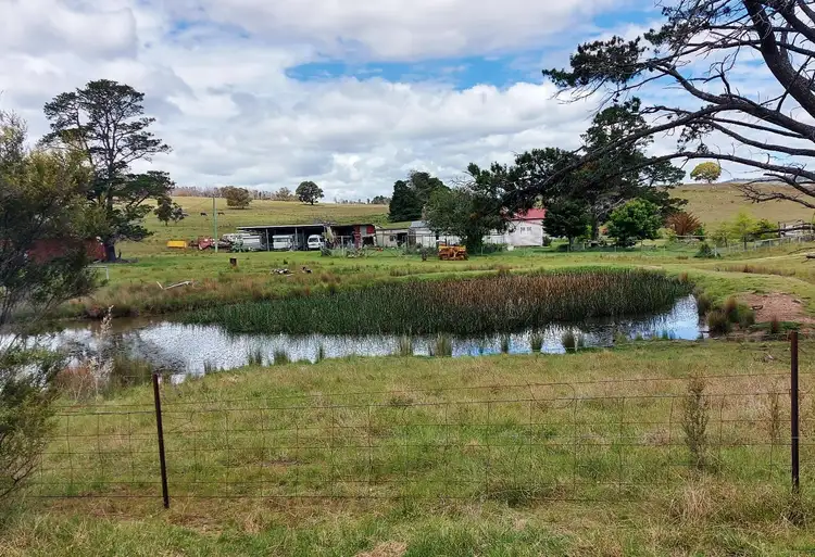 Main view of Homely rural property listing, 850 Table Top Road, Walcha NSW 2354