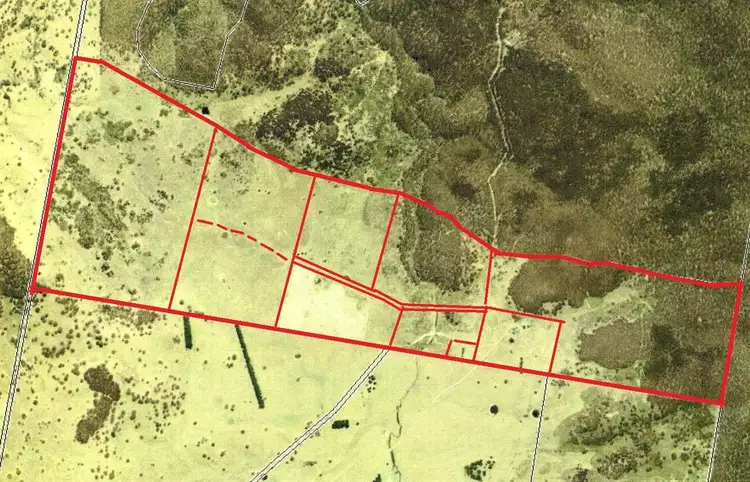 Second view of Homely rural property listing, 850 Table Top Road, Walcha NSW 2354