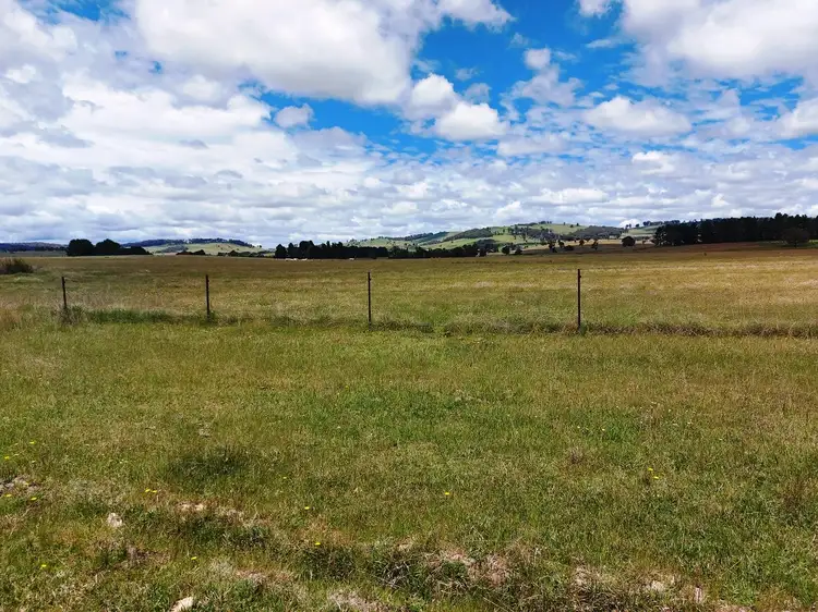 Fourth view of Homely rural property listing, 850 Table Top Road, Walcha NSW 2354