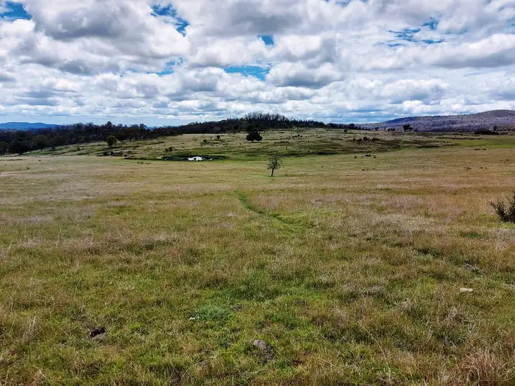 Fifth view of Homely rural property listing, 850 Table Top Road, Walcha NSW 2354