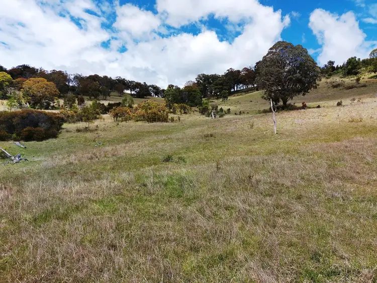 Sixth view of Homely rural property listing, 850 Table Top Road, Walcha NSW 2354