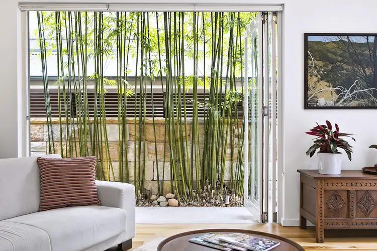 Seventh view of Homely townhouse listing, 3/91 Avalon Parade, Avalon Beach NSW 2107