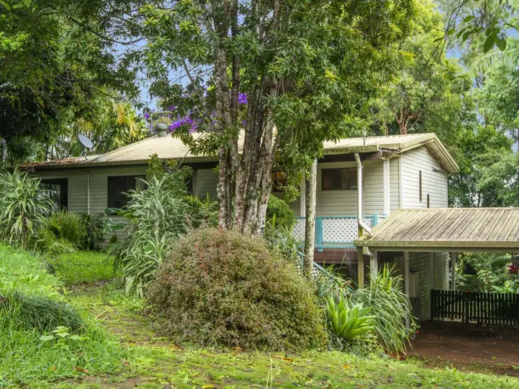 Third view of Homely house listing, 16 Cedar Drive, Dunoon NSW 2480