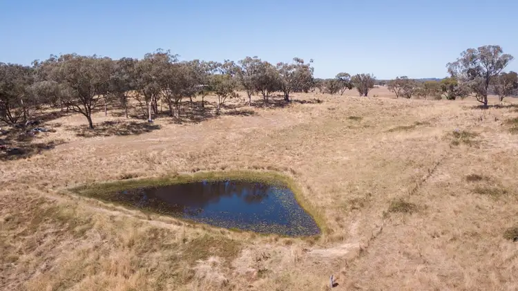 Seventh view of Homely rural property listing, 272 Kangaroobie Road, Orange NSW 2800