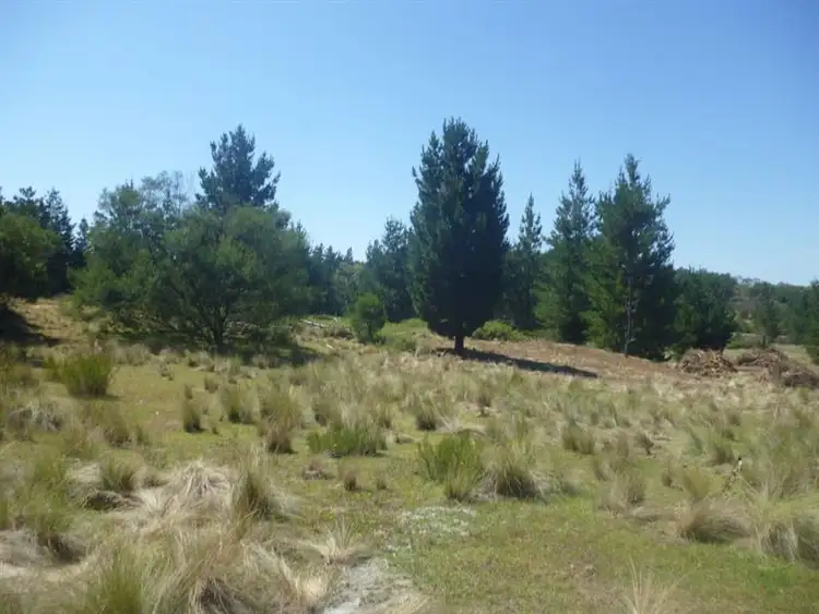 Fourth view of Homely rural property listing, Lot 3 & 4 Tall Pines Est, Nerriga NSW 2622