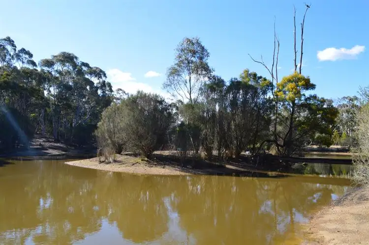 Seventh view of Homely rural property listing, 930 Sandy Point Rd, Lower Boro NSW 2580