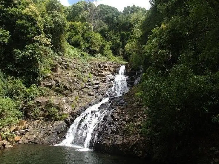 Third view of Homely rural property listing, 93 Victoria Park Rd, Dalwood NSW 2477