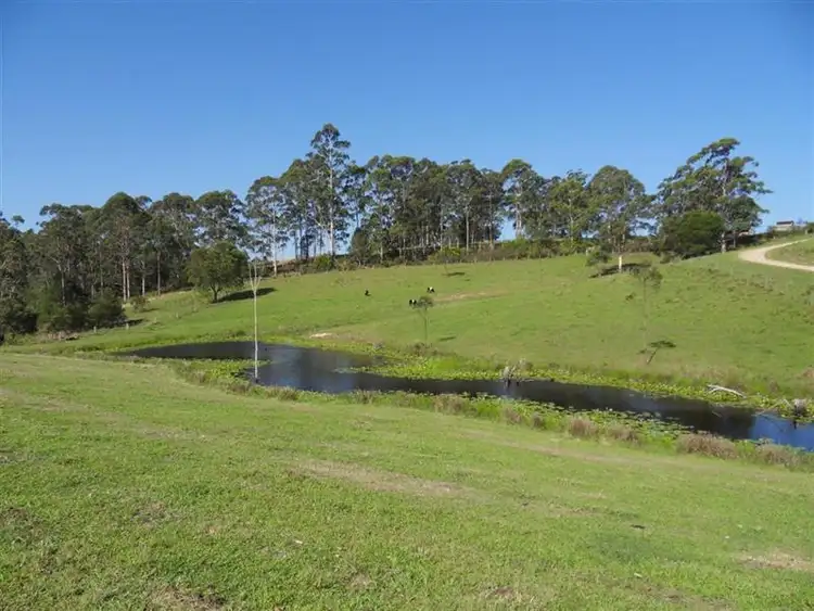 Main view of Homely rural property listing, 750 Newmans Rd, Wootton NSW 2423