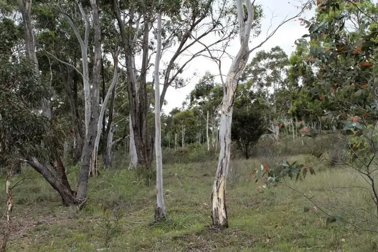 Fourth view of Homely land listing, 511 Mulwaree Dr, Tallong NSW 2579