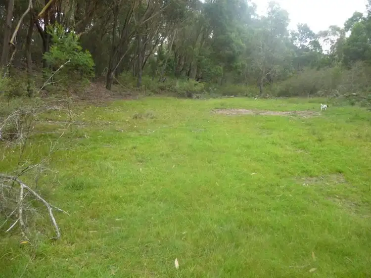 Second view of Homely rural property listing, 8170 Nerriga Rd, Tomboye NSW 2622