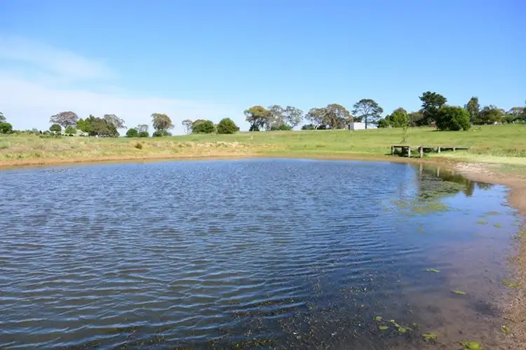 Seventh view of Homely rural property listing, 261 Forest Reefs Rd, Millthorpe NSW 2798