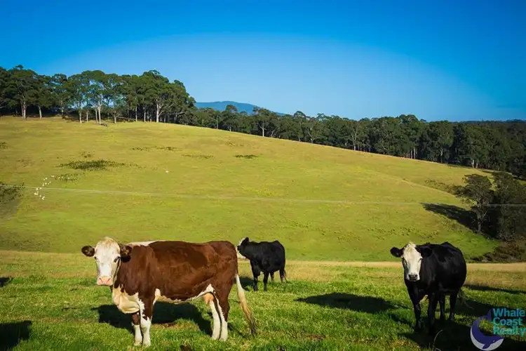 Fifth view of Homely rural property listing, Lot 201 Princes Hwy, Corunna NSW 2546