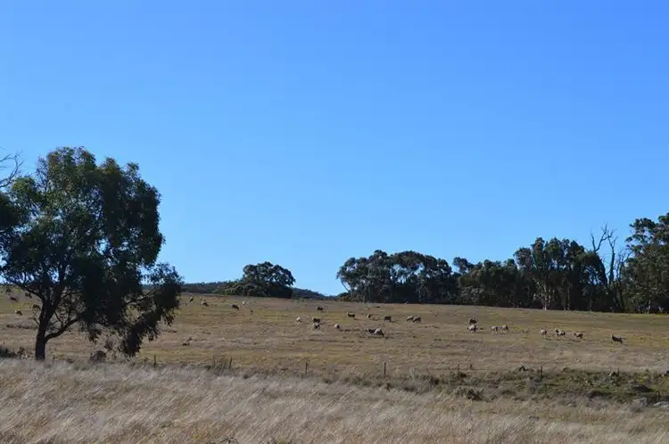 Fifth view of Homely rural property listing, 653 & 654 Boro Rd, Boro NSW 2622