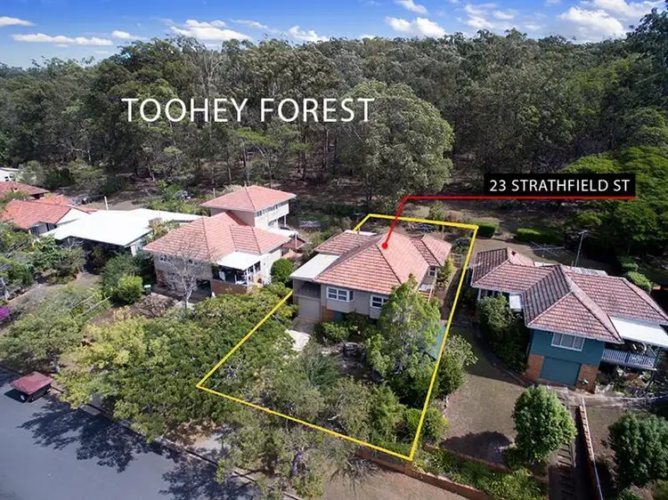 Main view of Homely house listing, 23 Strathfield St, Tarragindi QLD 4121