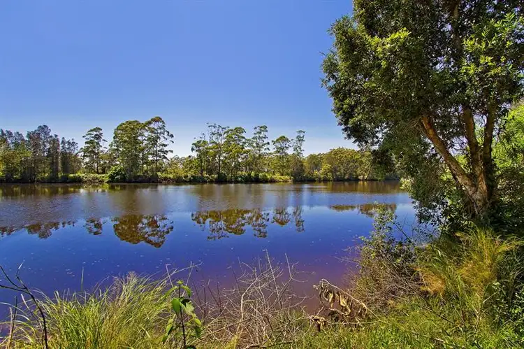 Second view of Homely rural property listing, 317 Willow Point Rd, Failford NSW 2430