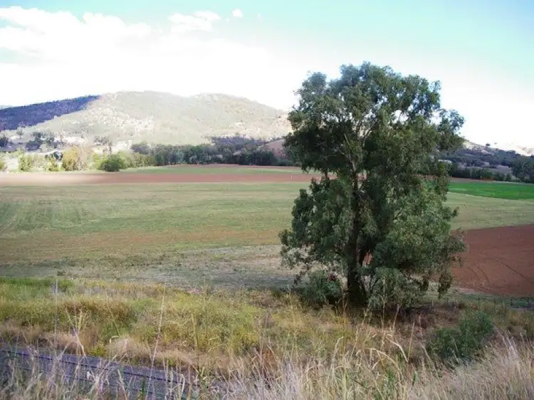 1002 New England Hwy, Tintinhull NSW 2352