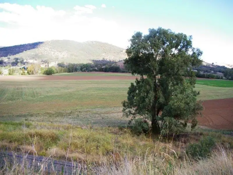 Main view of Homely rural property listing, 1002 New England Hwy, Tintinhull NSW 2352