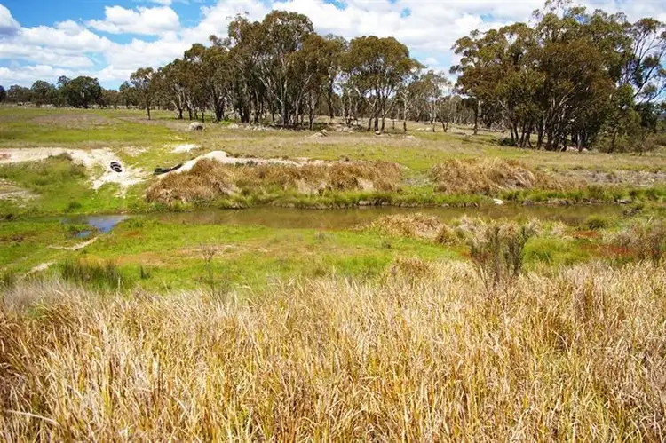 Seventh view of Homely rural property listing, 2782 Bonnay-linton Rd, Bundarra NSW 2359