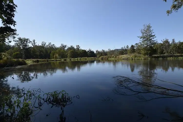 Second view of Homely rural property listing, 166 Stony Chute Rd, Nimbin NSW 2480