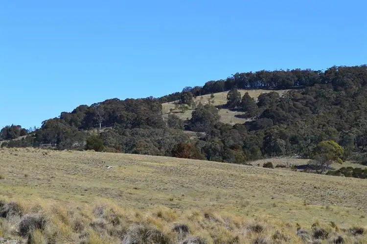 Fourth view of Homely rural property listing, 114 Roseview Rd, Tarago NSW 2580