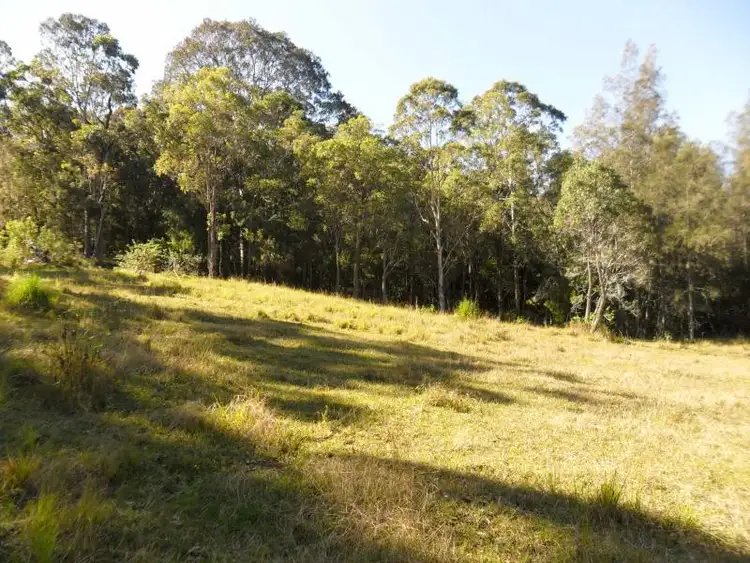 Fourth view of Homely rural property listing, 22 Hubbards Sth Rd, Bungwahl NSW 2423