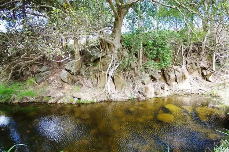 Fifth view of Homely rural property listing, 52 Gabulah Rd, Gresford NSW 2311