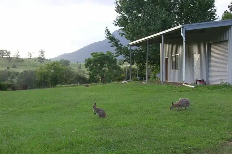 Main view of Homely rural property listing, 128 Gungas Rd, Nimbin NSW 2480