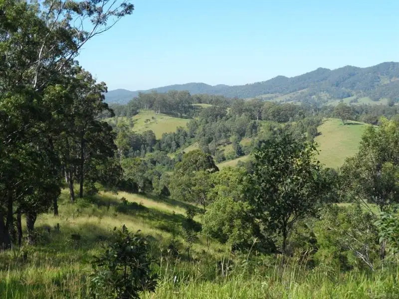 Main view of Homely rural property listing, 1029 Little Bunyah Rd, Bucca Wauka NSW 2429