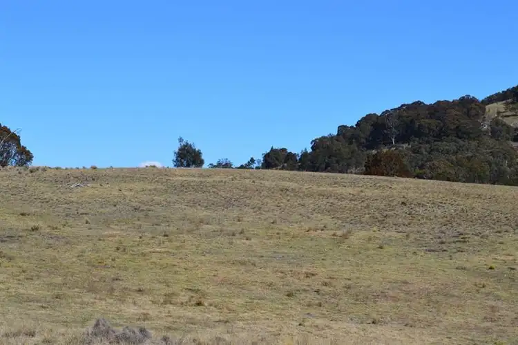 Third view of Homely rural property listing, 114 Roseview Rd, Tarago NSW 2580