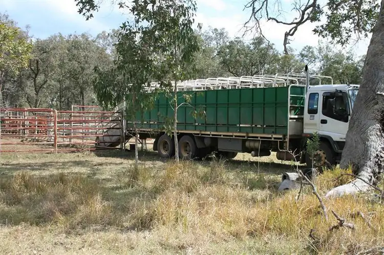 Sixth view of Homely rural property listing, 41 Peckhams Rd, Ewingar NSW 2469