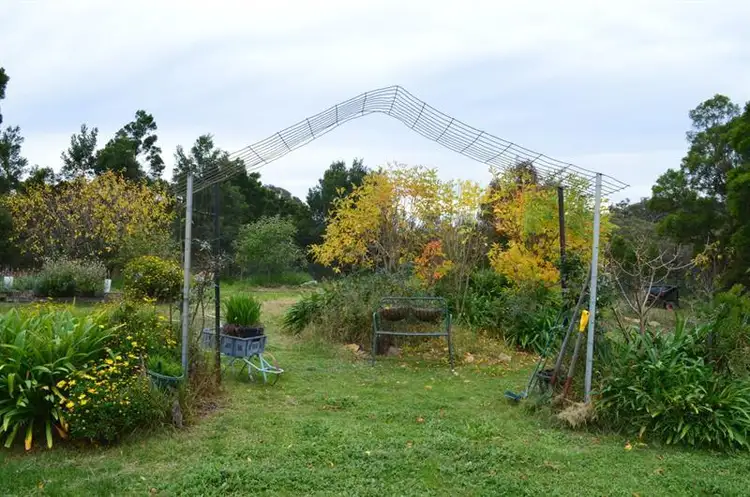 Sixth view of Homely rural property listing, 355 Covan Creek Rd, Lake Bathurst NSW 2580