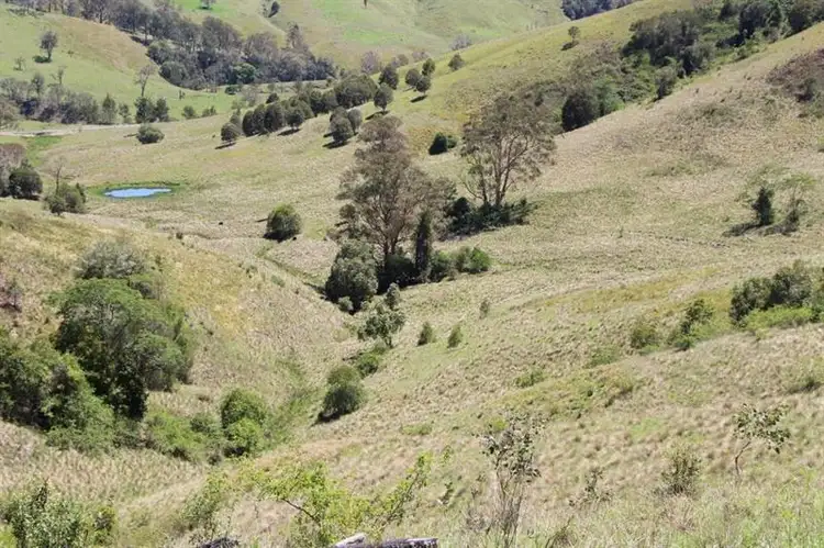 Seventh view of Homely rural property listing, 1610 Bucketts Way, Gloucester NSW 2422