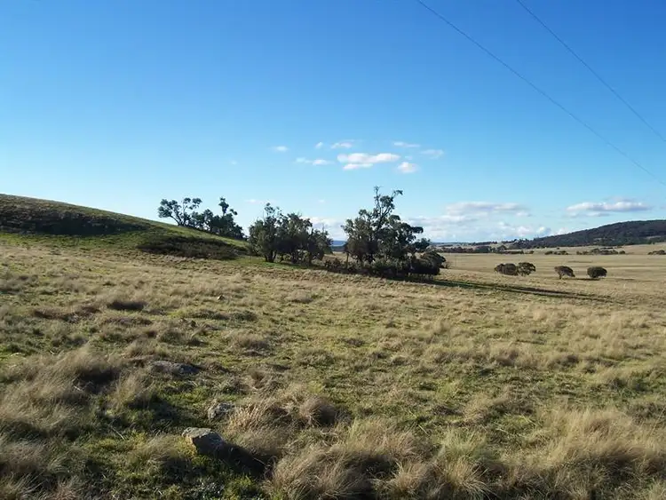 Third view of Homely rural property listing, 116 Lakeview Rd, Tarago NSW 2580