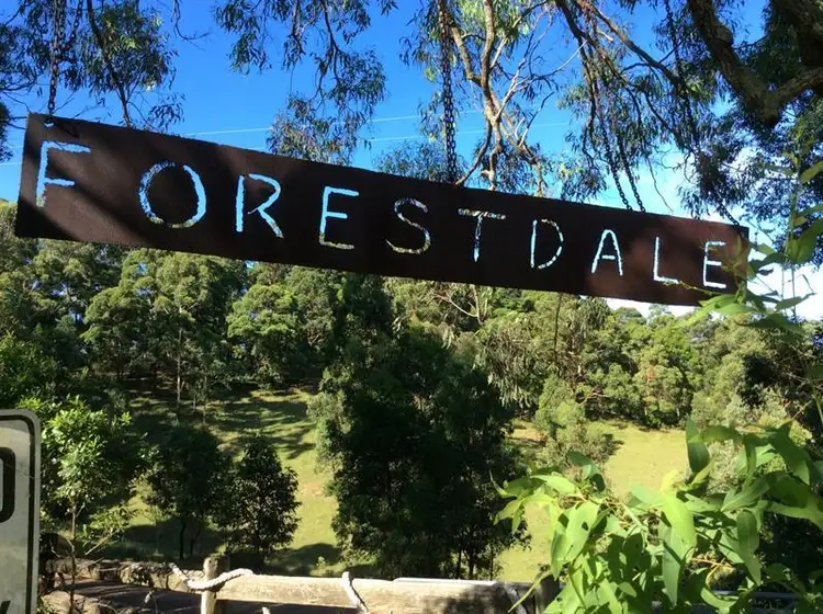 Second view of Homely rural property listing, 210 Reynolds Rd, Topi Topi NSW 2423